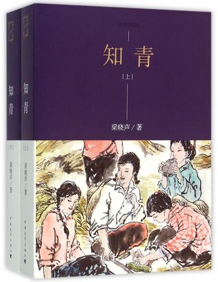 Full Download Educated Youth (Vol.1&2, Illustrated Edition) 知青(上下水墨插图版) - 梁晓声 | PDF