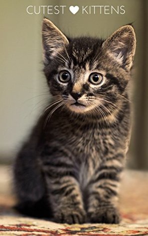 Read Cutest Kittens: 1500  Picture Cutest Kittens Cats Photobook for Kids Lv.3 (BABY KITTENS Cats Dogs Cute Fluffy Animals For Children ,Cat Memes,cat photobook  sebastian,cat bybee,Cat School,Cutest Kitt) - Kitten Cosmo file in PDF