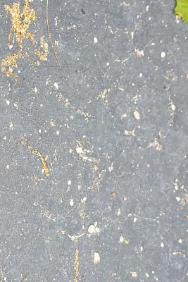 Download Springtime Journal Pollen Cement: (Notebook, Diary, Blank Book) -  file in ePub