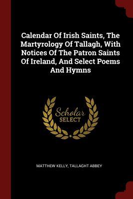 Download Calendar of Irish Saints, the Martyrology of Tallagh, with Notices of the Patron Saints of Ireland, and Select Poems and Hymns - Matthew Kelly file in ePub