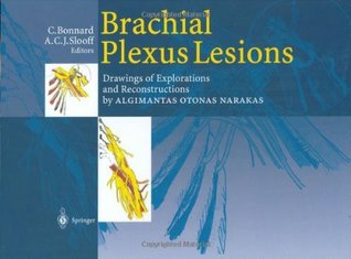 Download Brachial Plexus Lesions: Drawings of Explorations and Reconstructions by Algimantas Otonas Narakas - Chantal Bonnard file in ePub