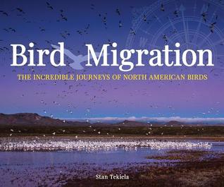 Read Bird Migration: The Incredible Journeys of North American Birds - Stan Tekiela | ePub