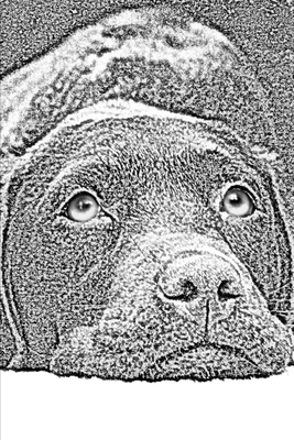Download 2020 Weekly Planner Dog Photo Artistic Rendering Chocolate Lab 134 Pages: 2020 Planners Calendars Organizers Datebooks Appointment Books Agendas - Distinctive Journals file in ePub